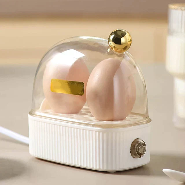 Small Electric Egg Boiler For 2 Eggs Automatic Shut Off - Befez