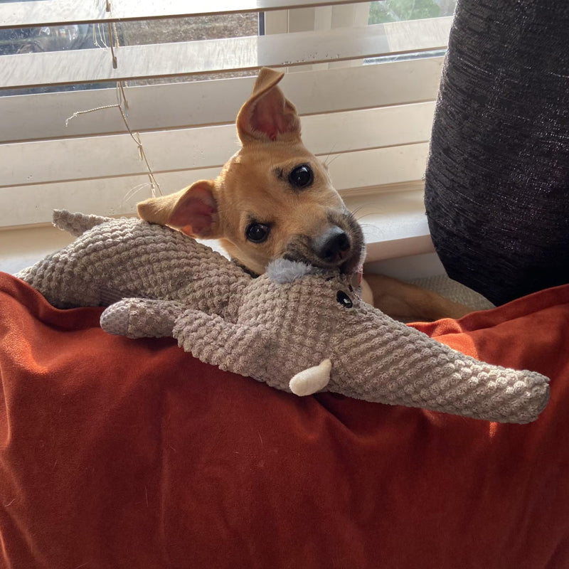 Durable Tough Pet Toy
