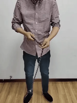 Easy Walk Hands-Free Dog Leash