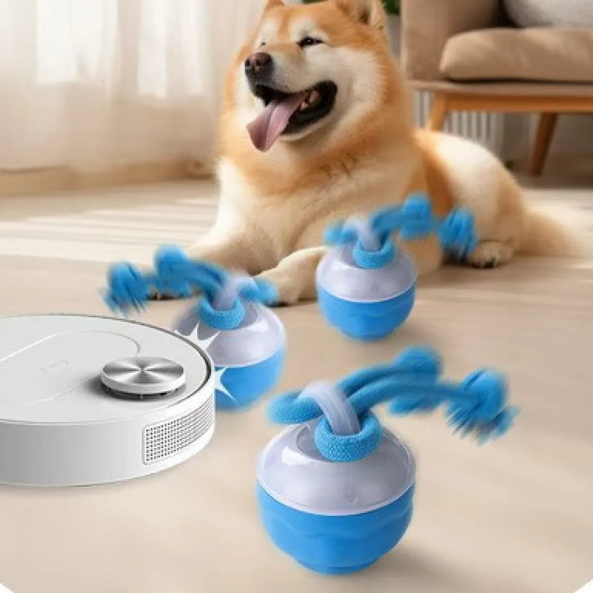 Befez | PawPulse - Keeps Dogs Healthy and Happy - Befez