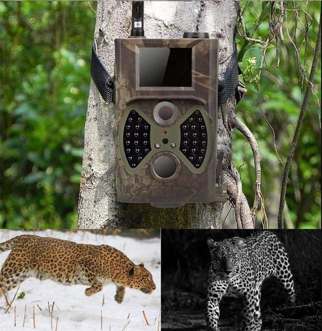 Befez | Compact Wildlife Night Vision Trail Camera
