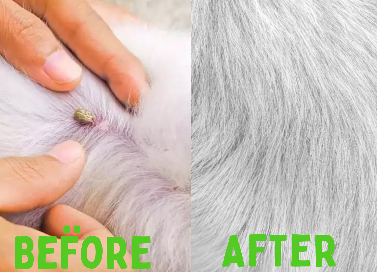 Pet Flea and Tick Control Collar