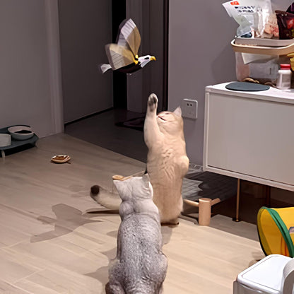 Colorful Interactive Bird Motion Toy