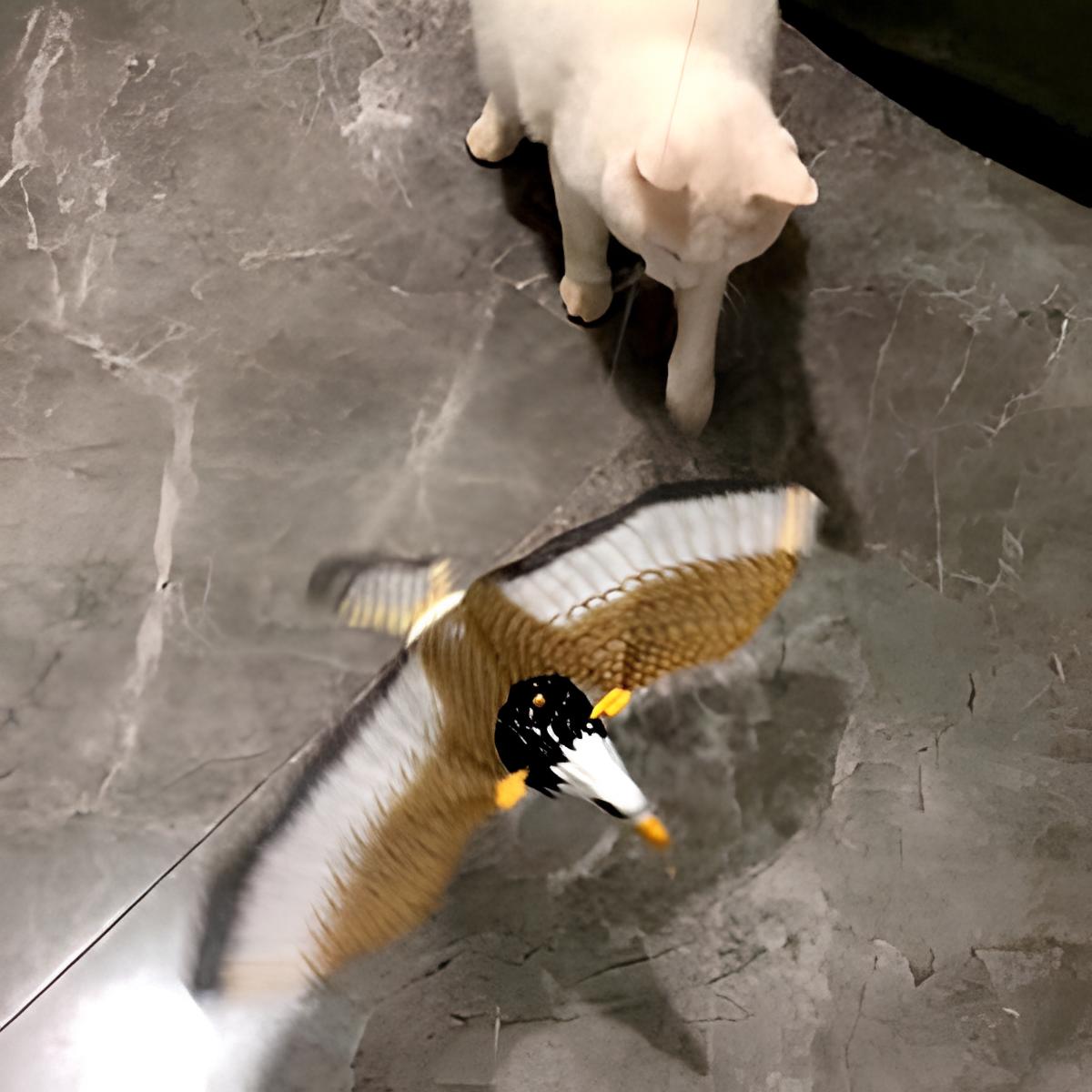 Colorful Interactive Bird Motion Toy