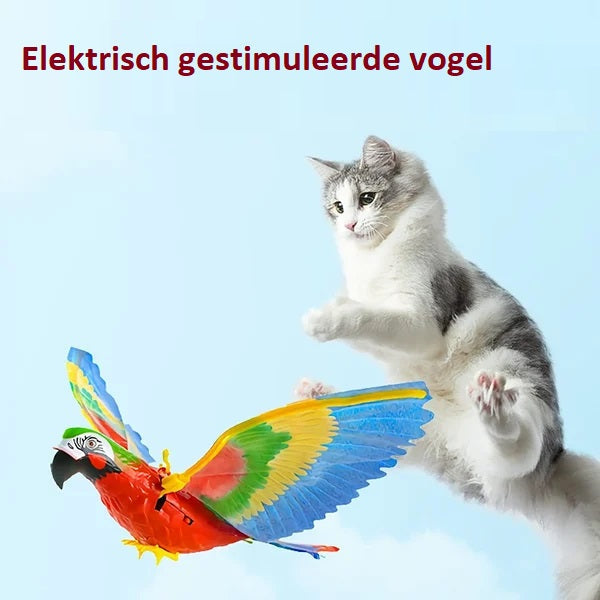 Colorful Interactive Bird Motion Toy