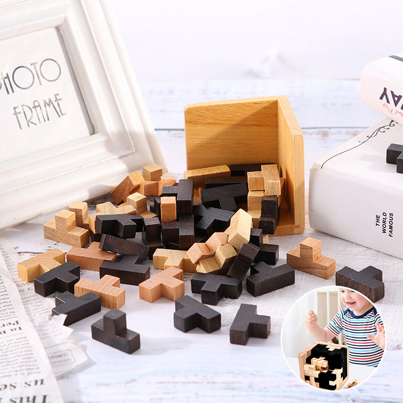 Classic Wooden Puzzle Brain Game