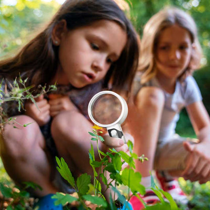 Compact LED Magnifying Glass