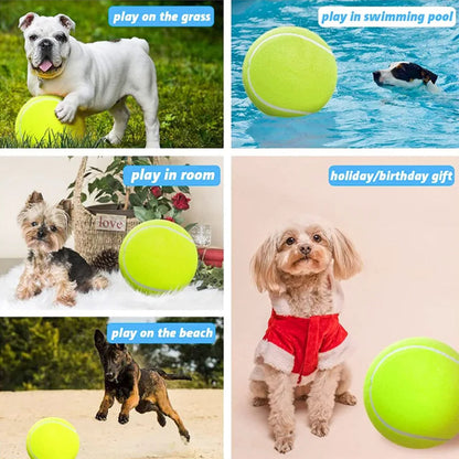 Large Rubber Dog Tennis Ball Toy