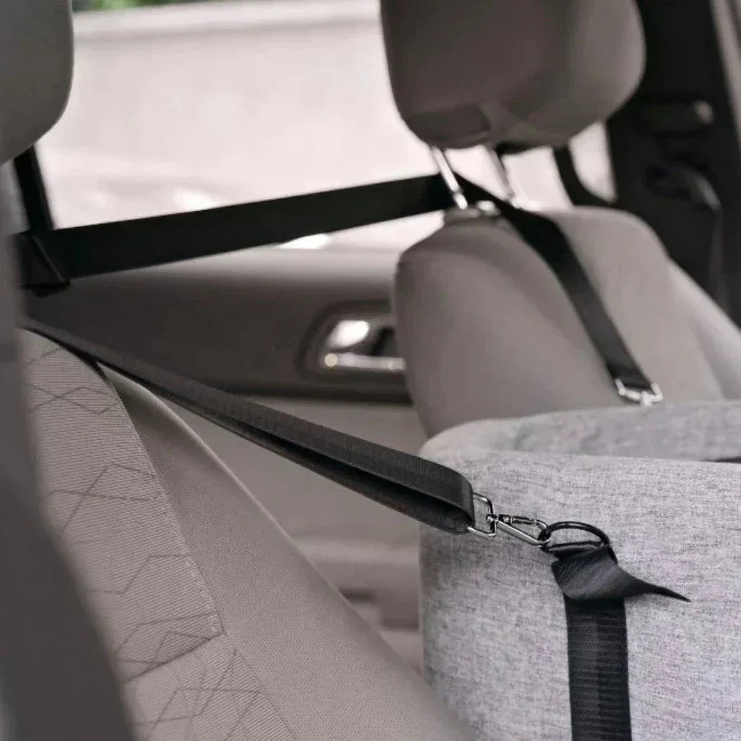Cozy Pet Car Booster Seat