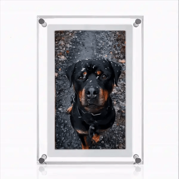 Digital Picture Frame - Display Favorite Memories