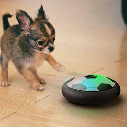 Fun Dog Football Training Ball
