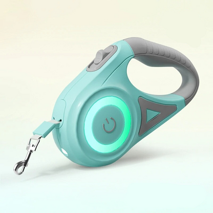 Bright Safety Dog Leash with LED Light
