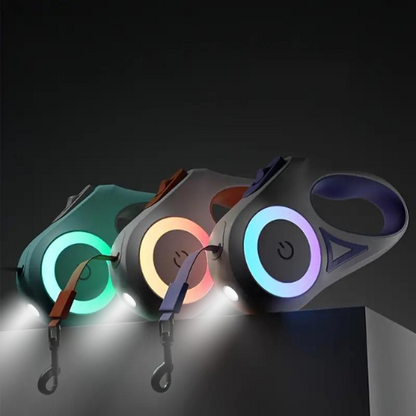 Bright Safety Dog Leash with LED Light