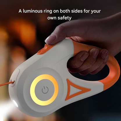 Bright Safety Dog Leash with LED Light
