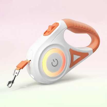 Bright Safety Dog Leash with LED Light - Befez