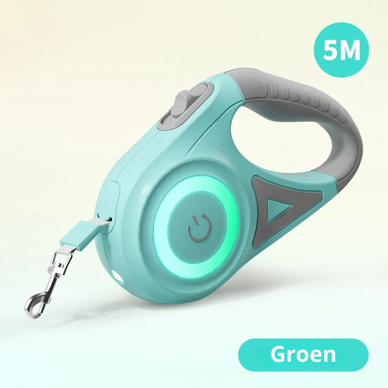 Bright LED Dog Leash with Flashlight