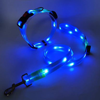 Bright LED Pet Collar with Leash Set