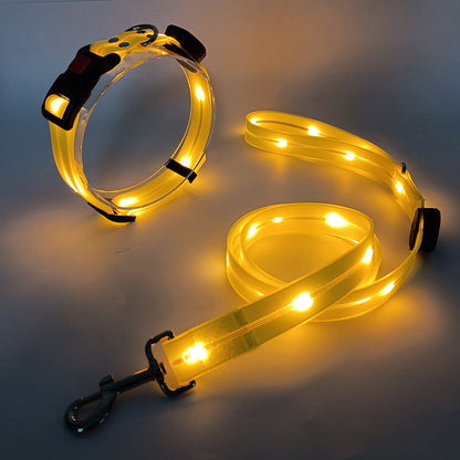 Bright LED Pet Collar with Leash Set