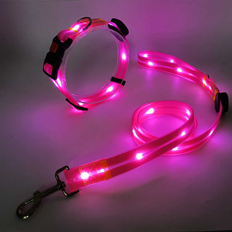 Bright LED Pet Collar with Leash Set