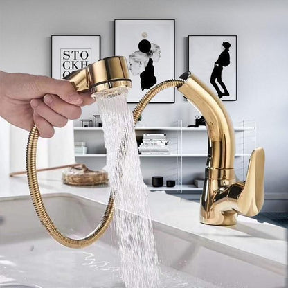Befez | Rotating 360 Degree Shower Faucet