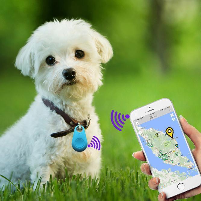 Accurate Pet Location GPS Tracker