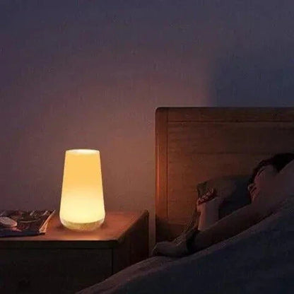Colorful Rechargeable Touch Lamp Befez