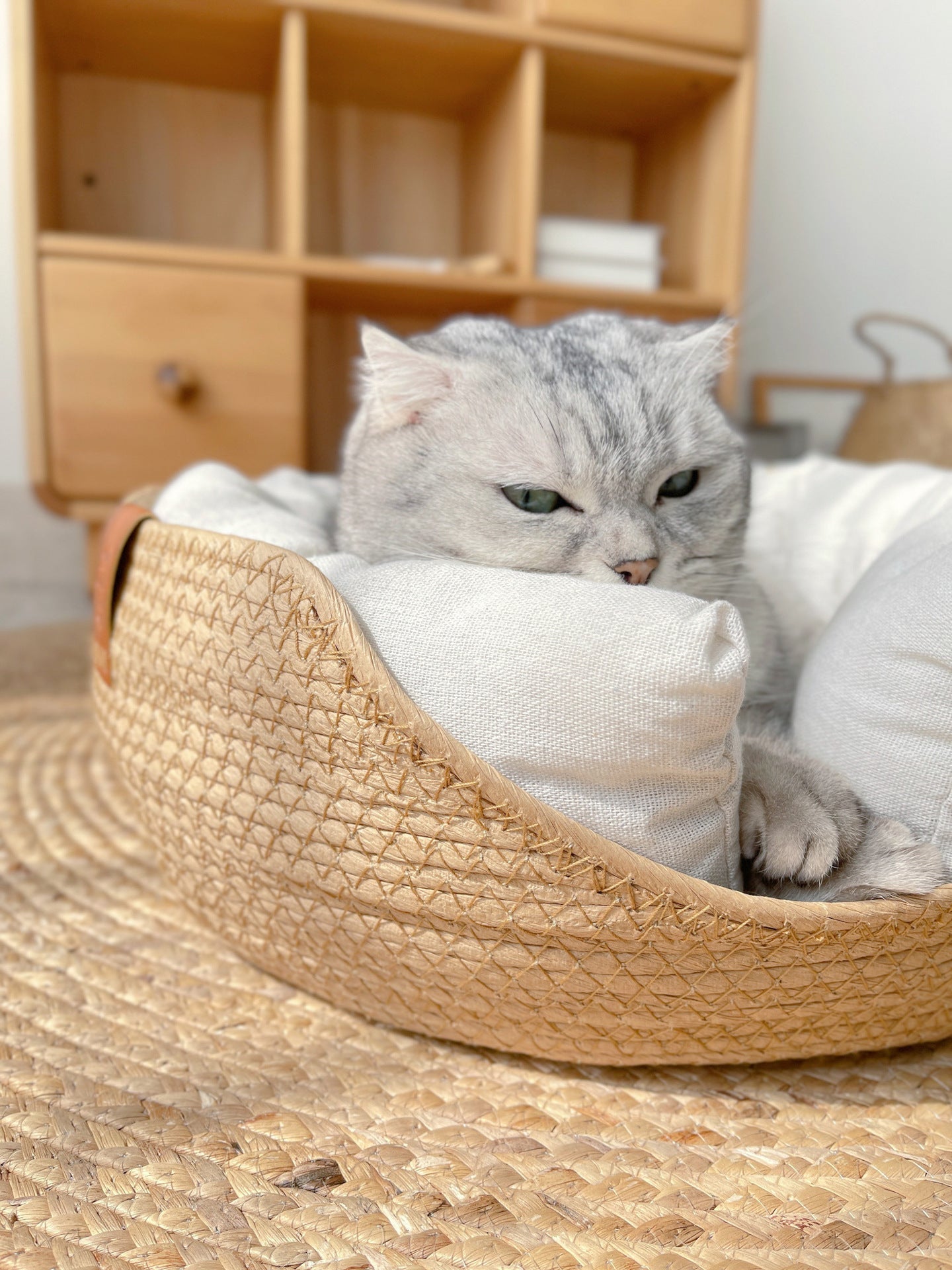 Cozy Plush Cat Bed - Soft Snooze Pillow - Befez