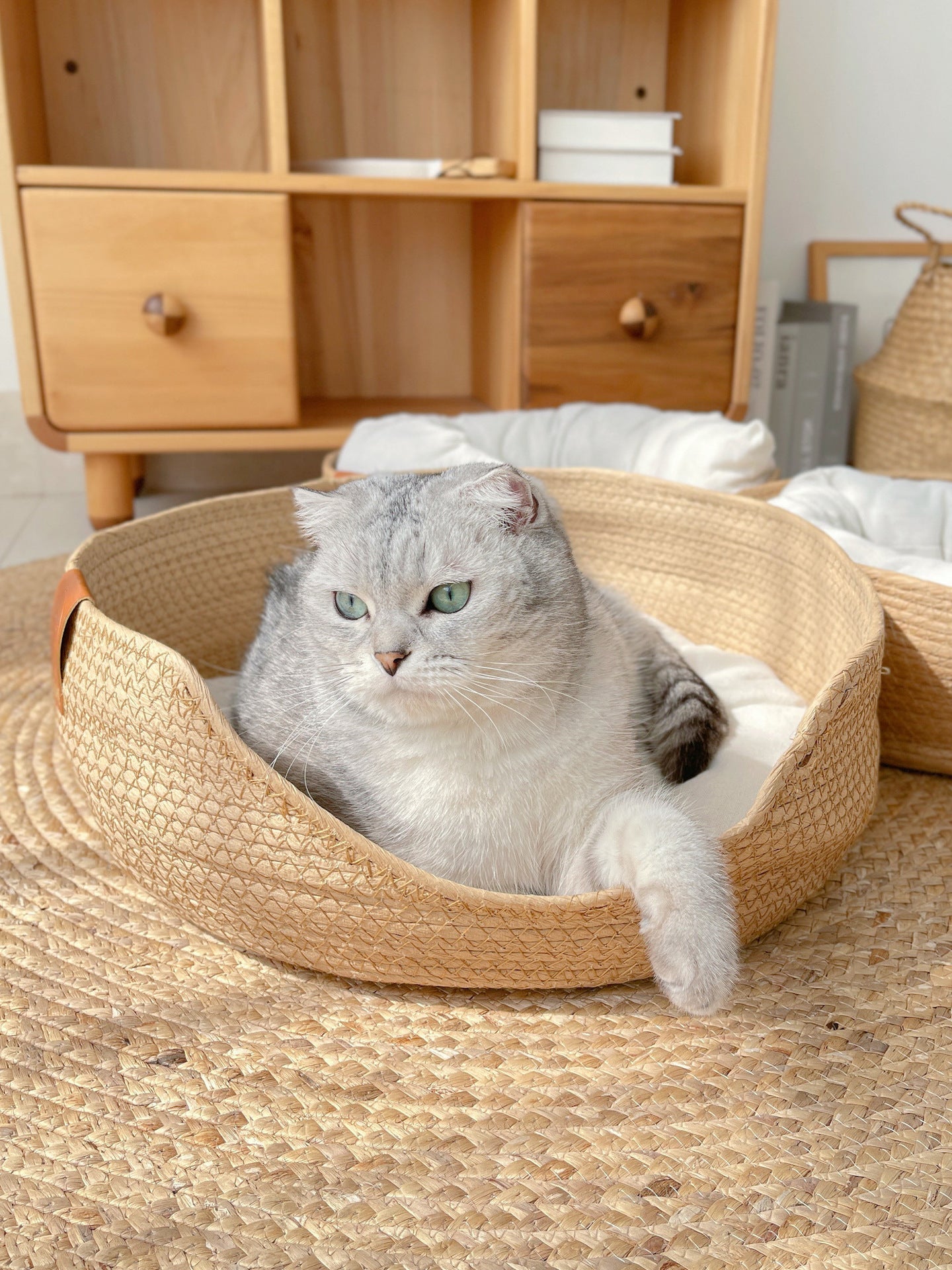 Cozy Plush Cat Bed - Soft Snooze Pillow