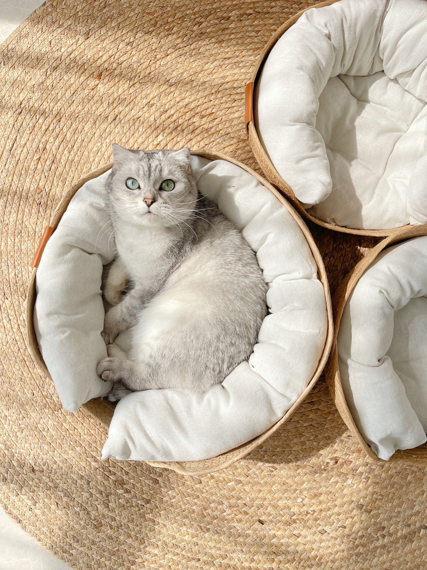 Cozy Plush Cat Bed - Soft Snooze Pillow