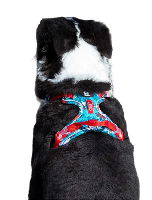Strong & Adjustable Pet Harness - Befez