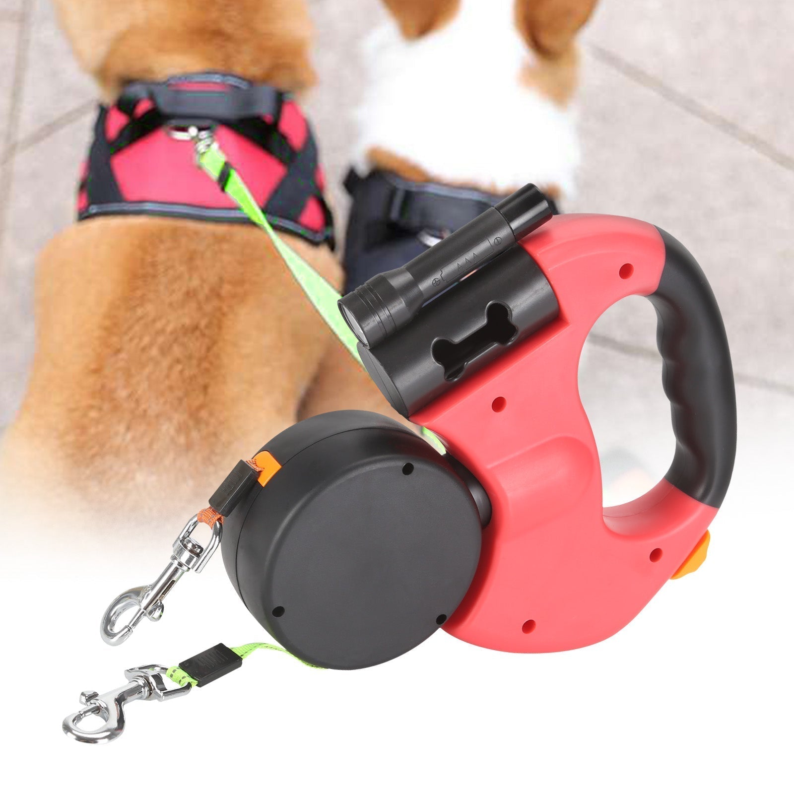 Best Dog Befez Solution - Befez