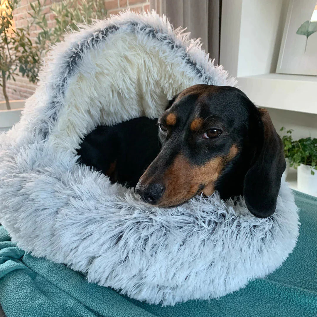 Comfy Orthopedic Dog Bed - Plush Supportive Pet Mattress - Befez