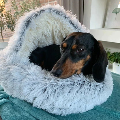 Comfy Orthopedic Dog Bed - Plush Supportive Pet Mattress - Befez