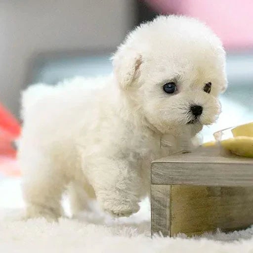 Interactive Pet Robot Dog Toy
