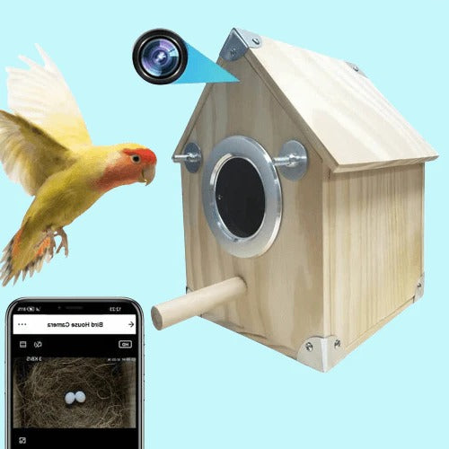 Outdoor Birdhouse Camera Feeder Kit with Wi-Fi Cam - Befez