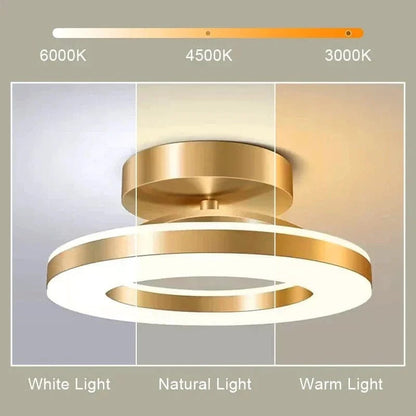 Bright Energy Saving Ceiling Lamp