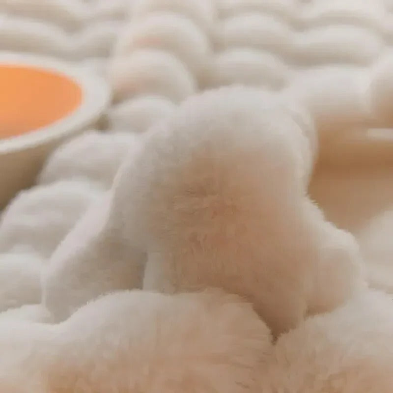 All Year Soft Blanket