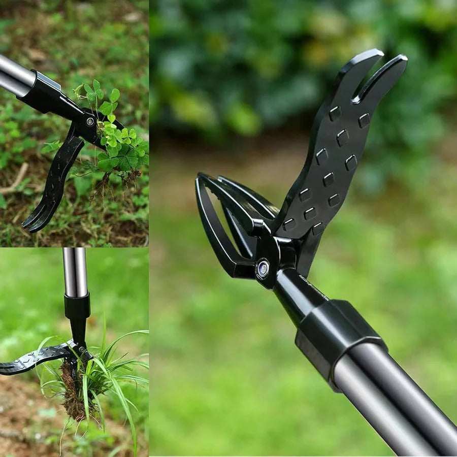 Ergonomic Long Handle Weed Remover Tool - Befez