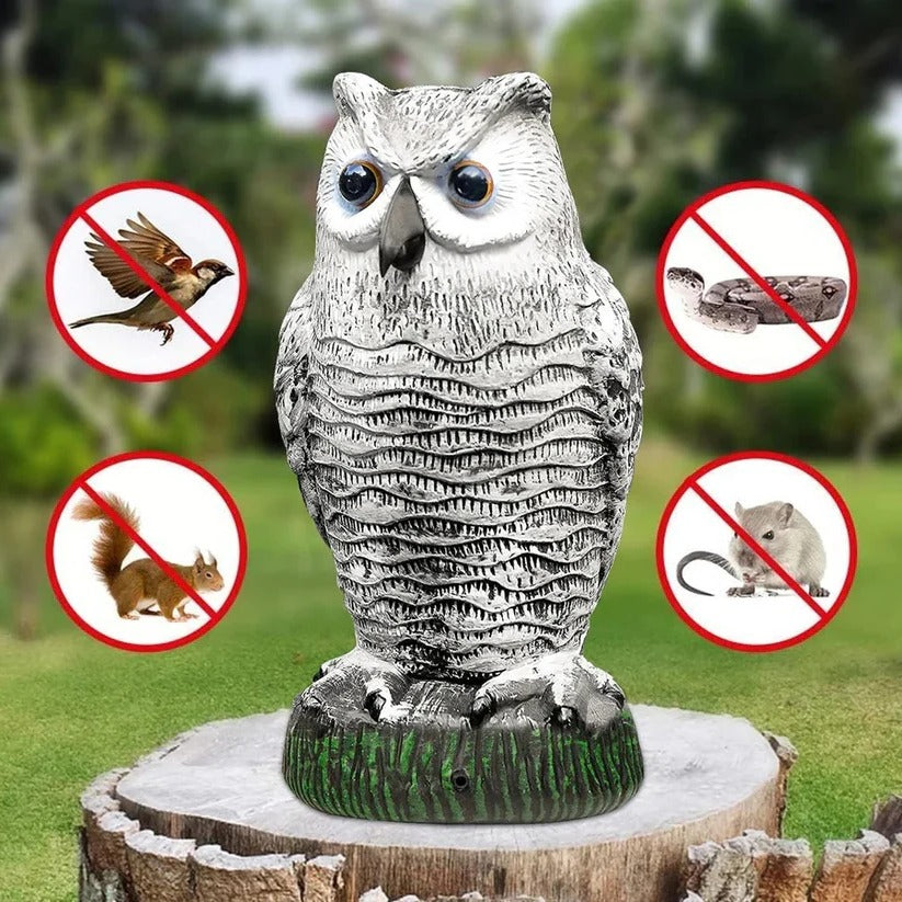 Realistic Owl Bird Repellent Decoy - Befez