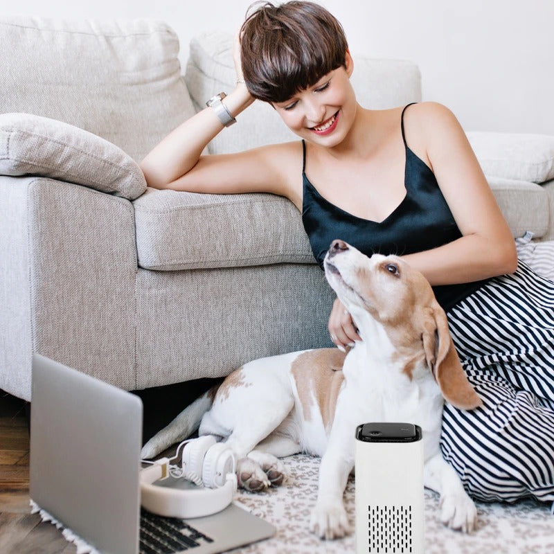 Compact Pet Home Air Cleaner