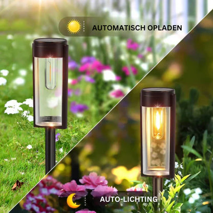 Premium Outdoor Solar Powered Garden Lights