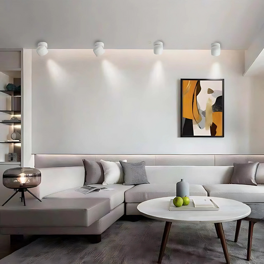 Slim LED Ceiling Light Fixture Aluminum - Befez
