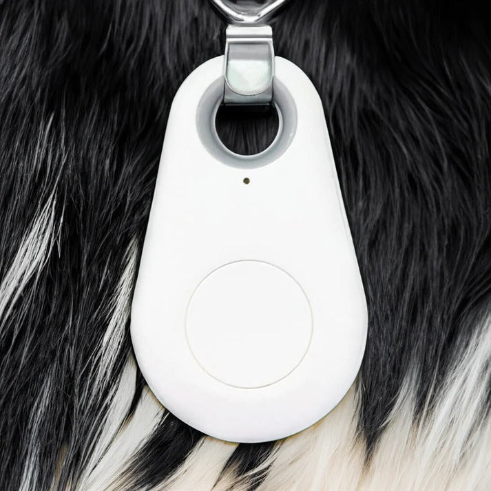Accurate Pet GPS Location Device