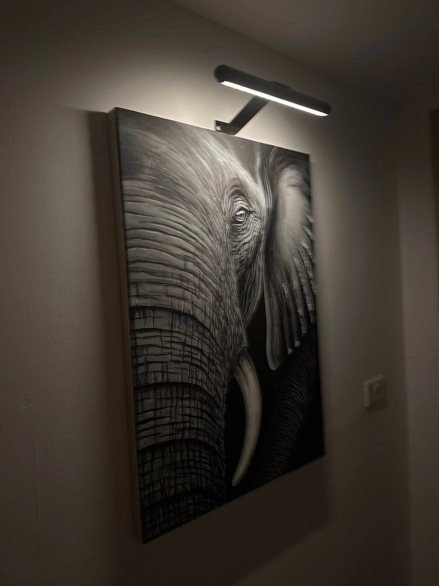 Slim Battery Powered Frame Light