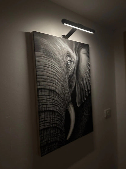 Slim Battery Powered Frame Light