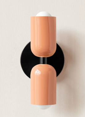 Colorful Dual LED Wall Light with Metal Frame