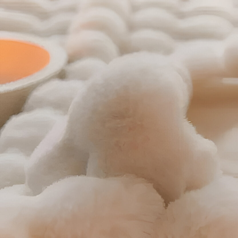 Soft Plush Throw Blanket with Classic Style