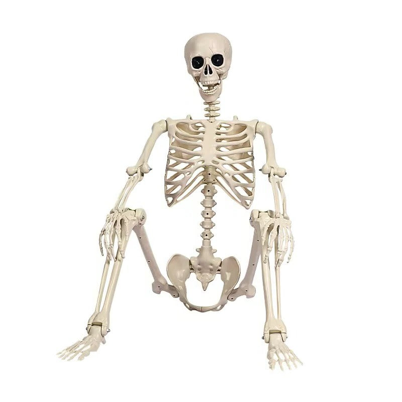 Giant Realistic Skeleton Prop