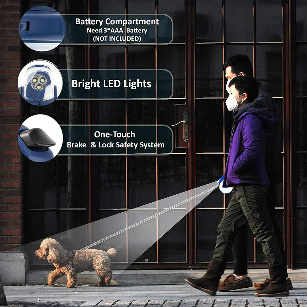 Professional Dog Walker and Pet Sitter Service