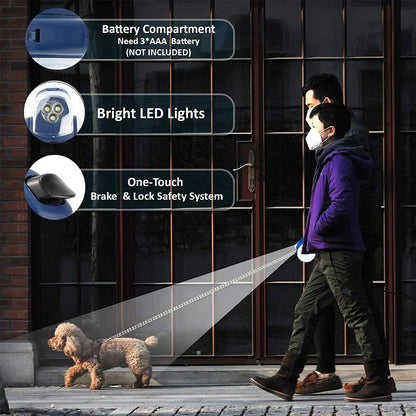 Professional Dog Walker and Pet Sitter Service